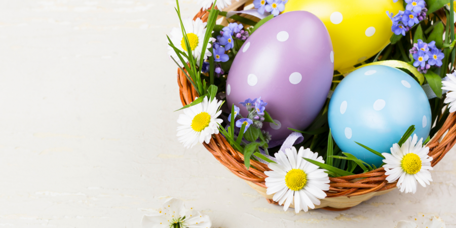 Our office will close for Easter at 5pm on Thursday 28 March and re-open on Tuesday 2 April 2024.   