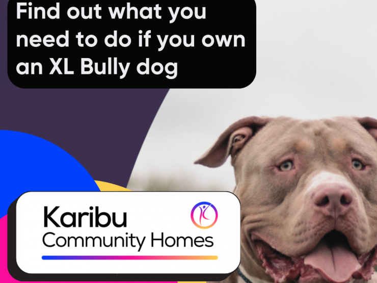 Our policy on XL Bully type dogs